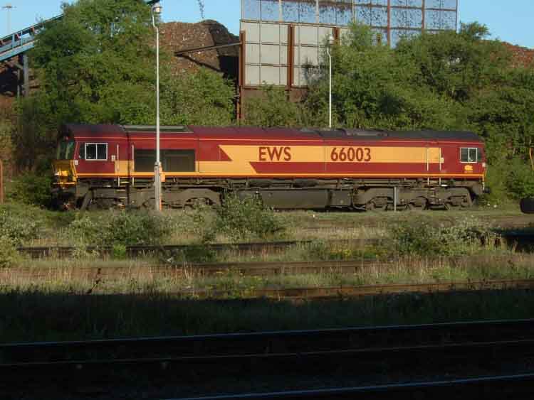 66003
