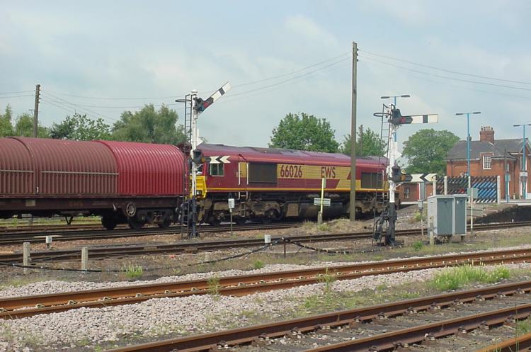 66026
