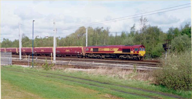 66032
