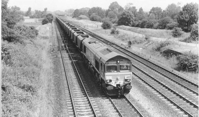 66084