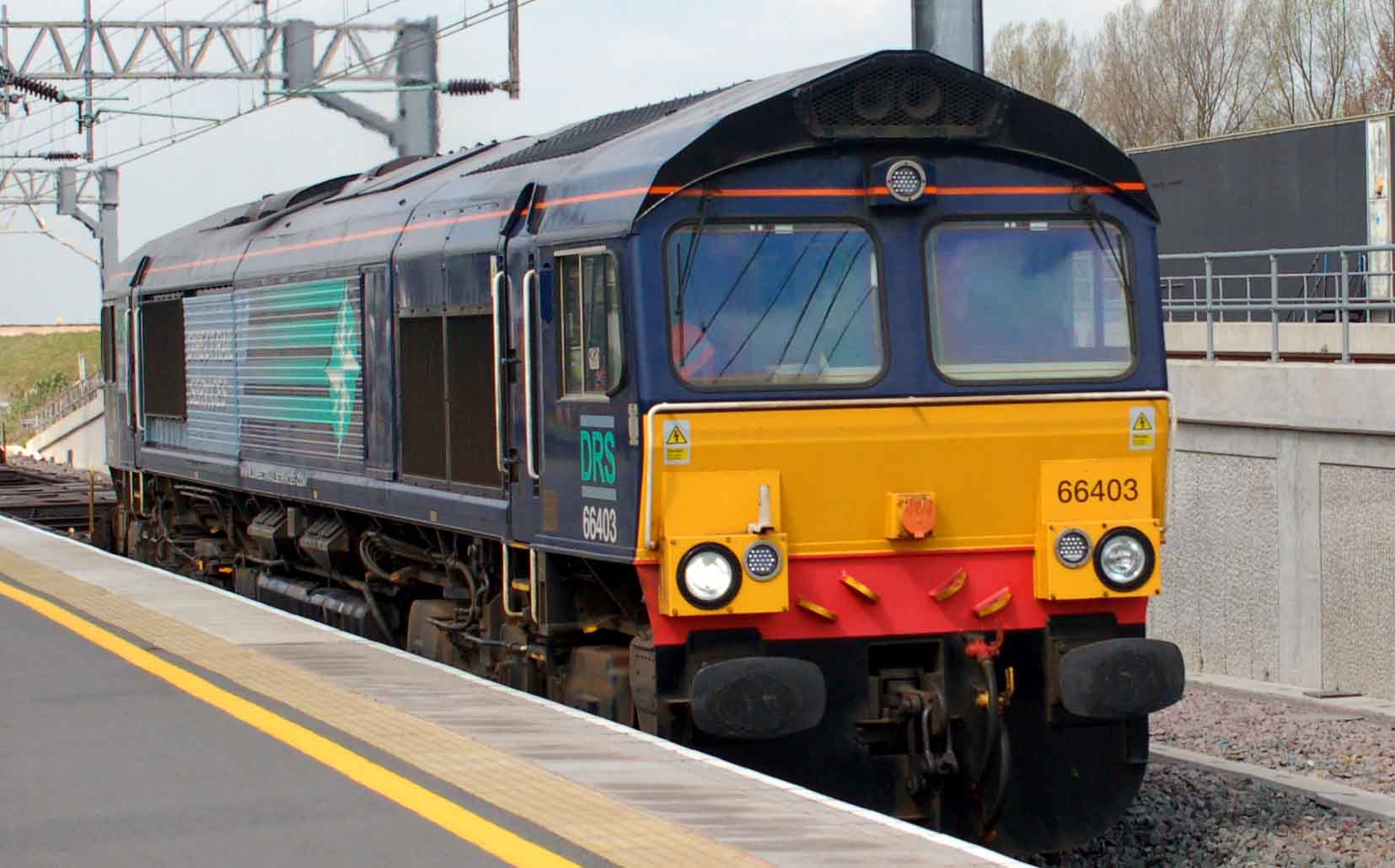 66403