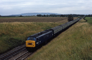 45019
