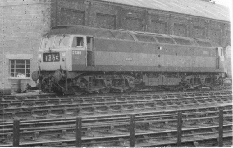 D1668
