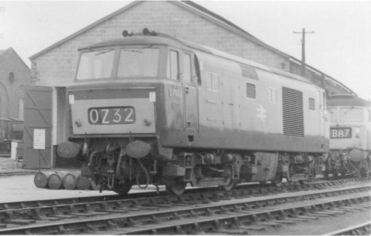 D7007