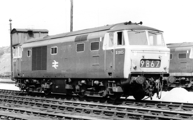 D7065 at Worcester on 26/7/1968