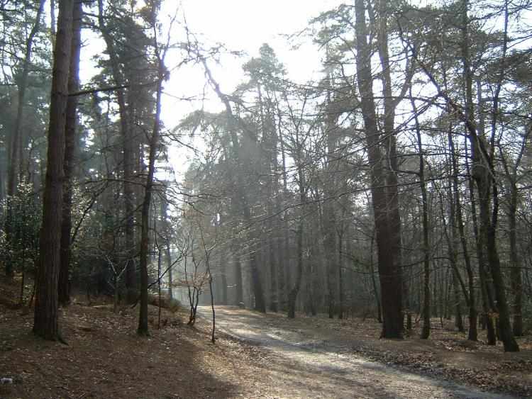 Lickey Hills on 14-2-2003