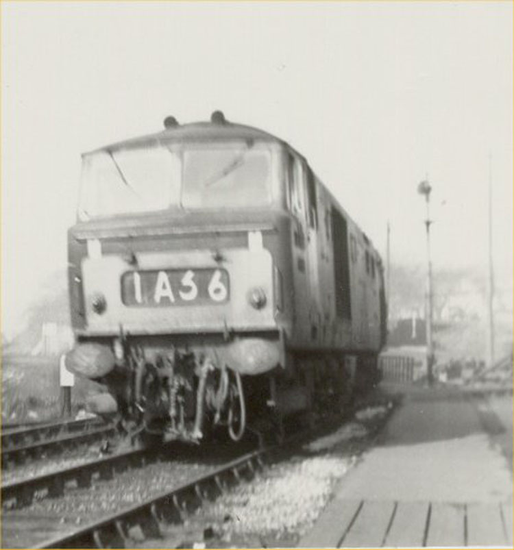 Hymek 1965